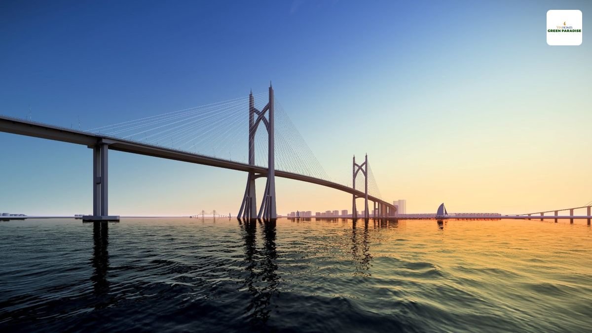 phoi-canh-cau-can-gio-vung-tau phoi canh cau can gio vung tau